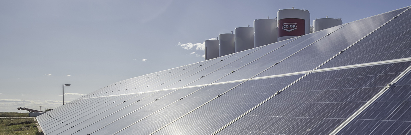 Jade Stolen, Edmonton Warehouse Supervisor, with new compost bins at the Edmonton distribution centre.